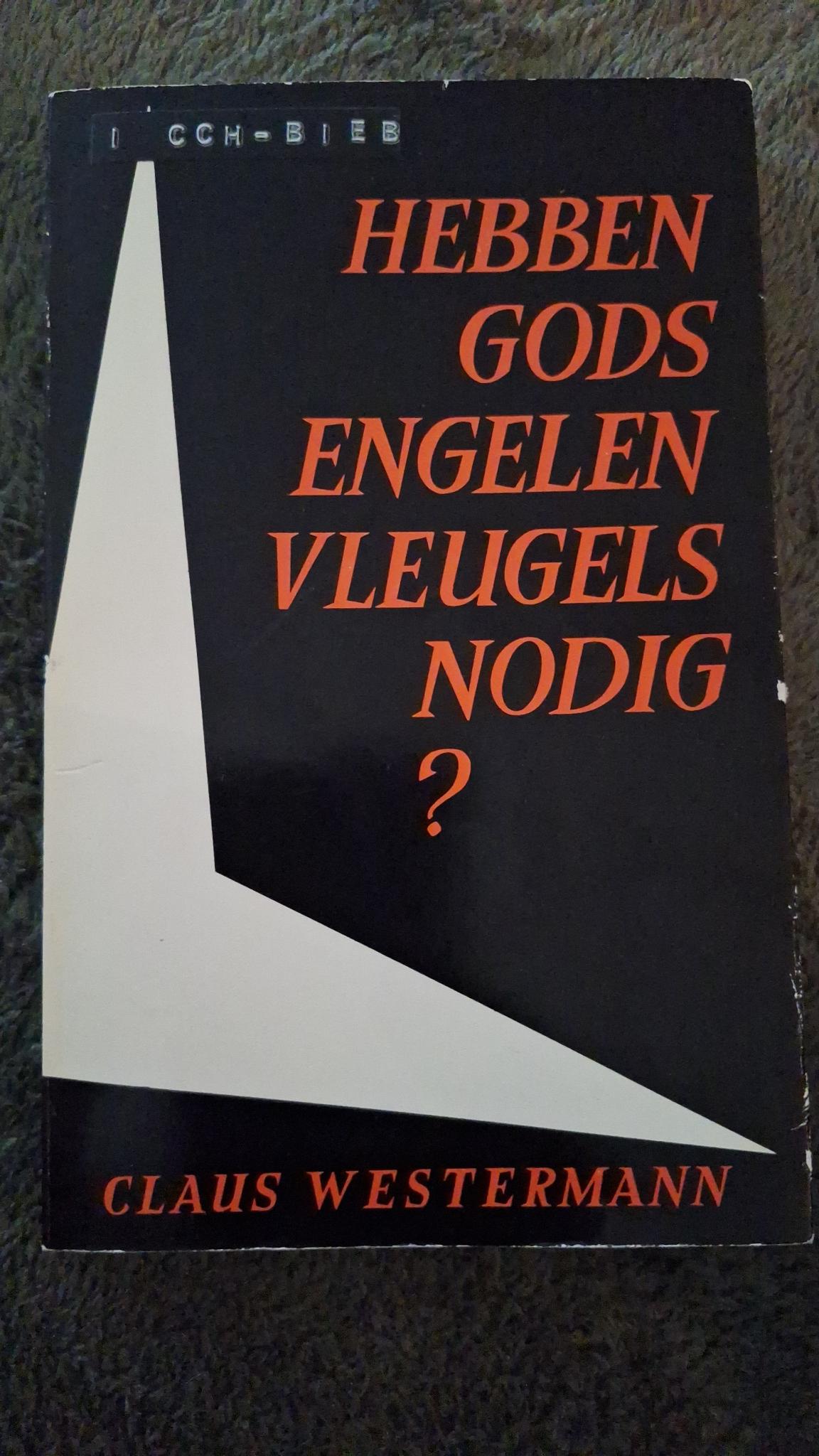 Hebben Gods engelen vleugels nodig?
