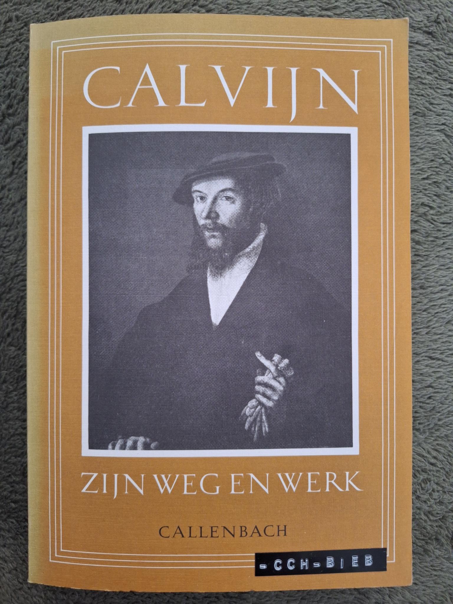 Calvijn: zijn weg en werk